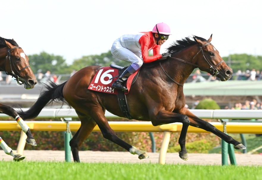 セントライト記念2026データ分析！大穴はこの馬じゃー！