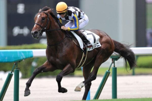 チャレンジC2026データ分析！大穴はこの馬じゃー！