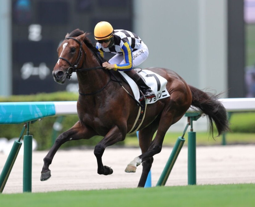 チャレンジC2026データ分析！大穴はこの馬じゃー！