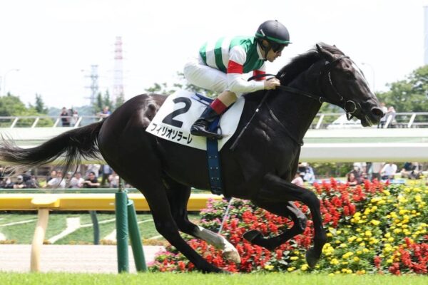 サウジアラビアRC2026データ分析！大穴はこの馬じゃー！