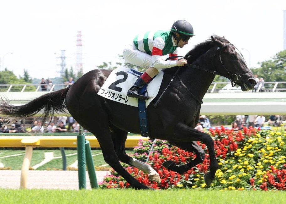 サウジアラビアRC2026データ分析！大穴はこの馬じゃー！