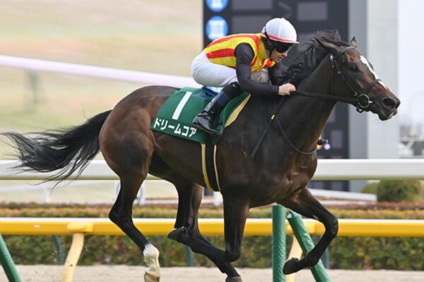 秋華賞2026調教チェック！特Ａ評価・調教爆穴はこの馬だ！