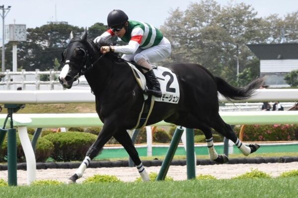 ファンタジーS2026データ分析！大穴はこの馬じゃー！