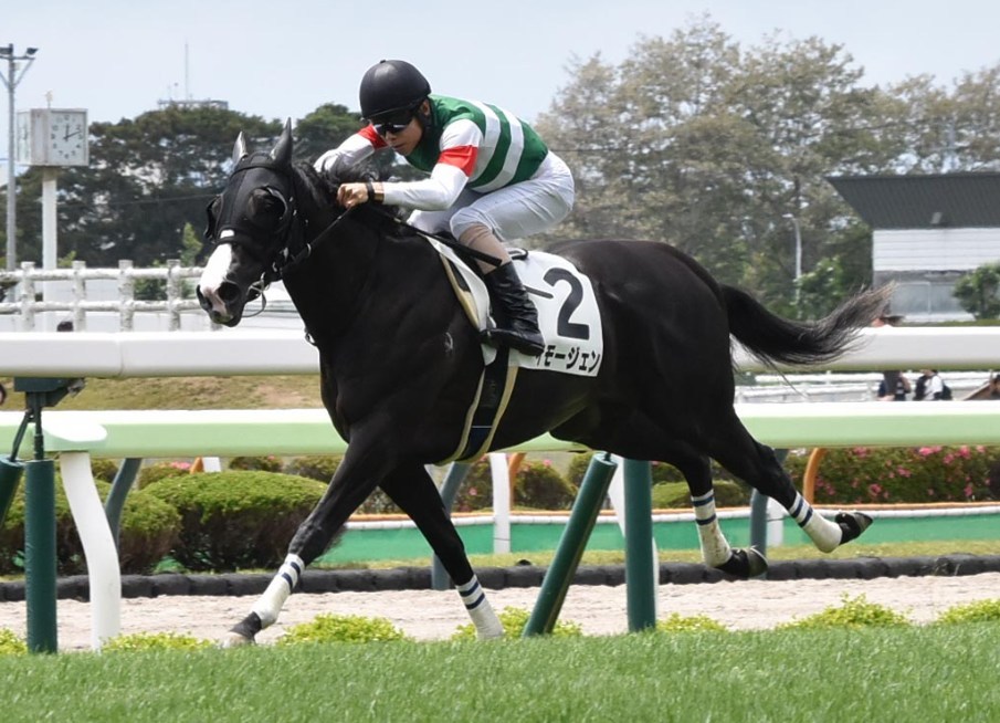 ファンタジーS2026データ分析！大穴はこの馬じゃー！