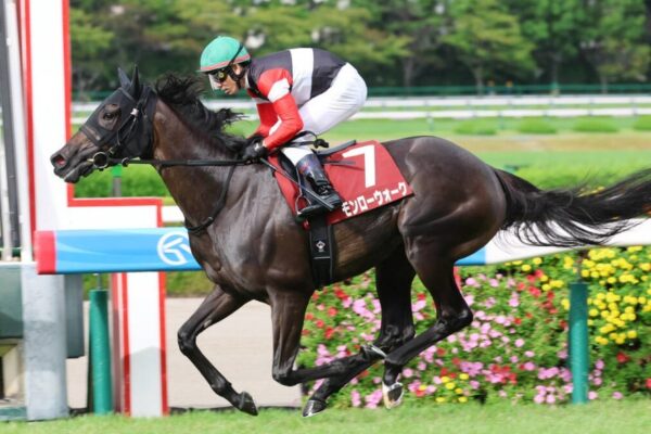 秋華賞2026データ分析！大穴はこの馬じゃー！
