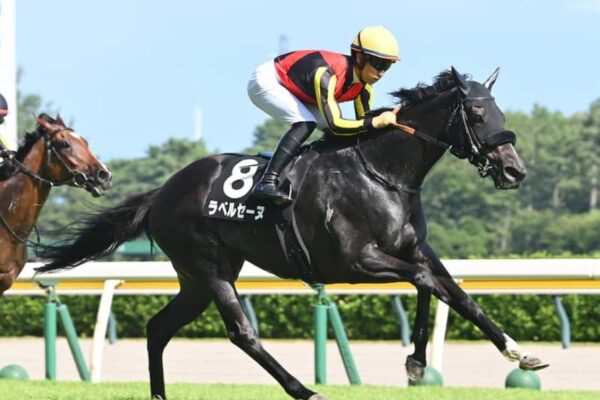 秋華賞2026予想！大穴狙いで逝くぜぇ！
