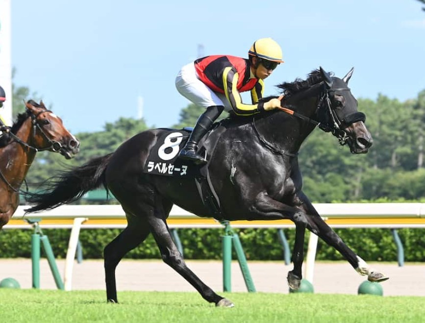 秋華賞2026予想！大穴狙いで逝くぜぇ！