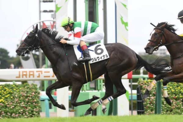 アルテミスS2026予想！大穴狙いで逝くぜぇ！