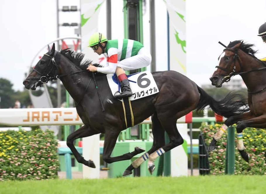アルテミスS2026予想！大穴狙いで逝くぜぇ！