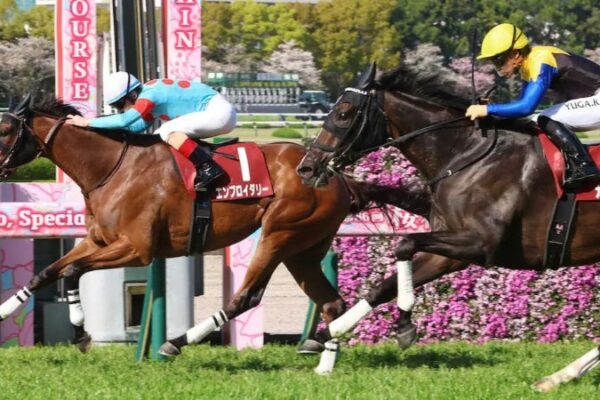 アイルランドT2026データ分析！大穴はこの馬じゃー！