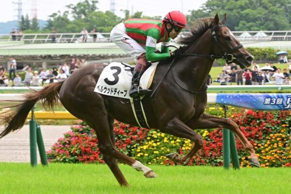 サウジアラビアRC2026予想！大穴狙いで逝くぜぇ！