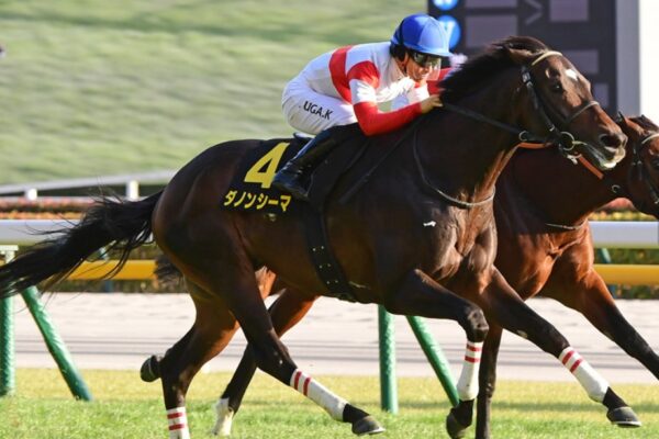 京都大賞典2026データ分析！大穴はこの馬じゃー！