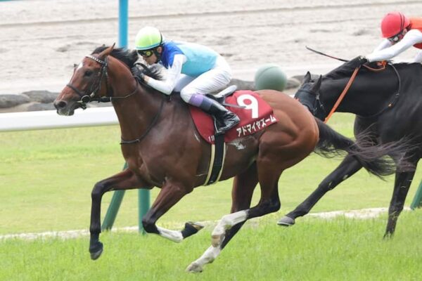 富士S2026データ分析！大穴はこの馬じゃー！