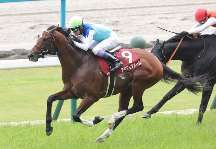 富士S2026データ分析！大穴はこの馬じゃー！